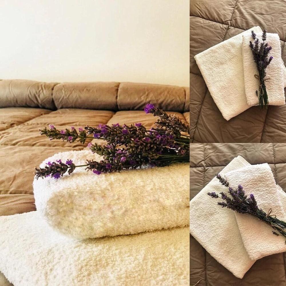 Hotel Losanna 리미니 외부 사진